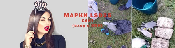 мдпв Кулебаки