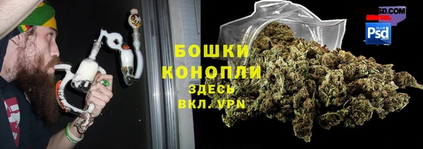 мдпв Кулебаки